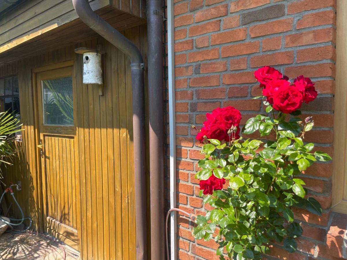 Urlaub Zwischen Den Meeren Apartamento Schafflund Exterior foto